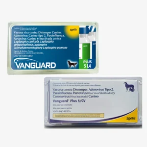 Vanguard plus 5 CV (Quintuple)